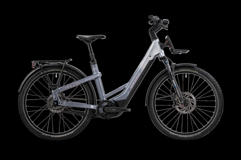 Winora - Yakun R5 Pro Low, Downtown/Haze Grey glänzend