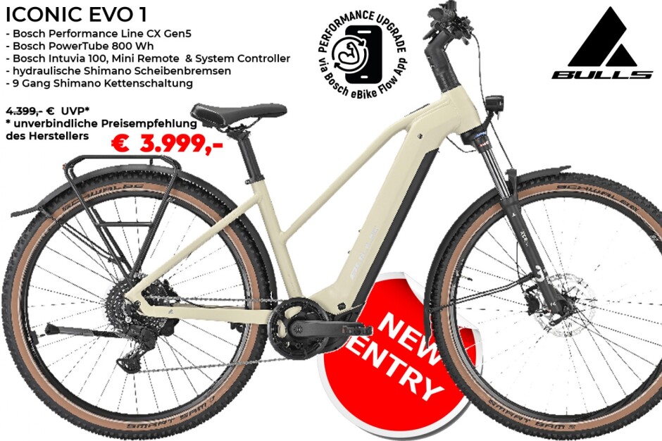 BULLS Iconic EVO 1 | 800 Wh