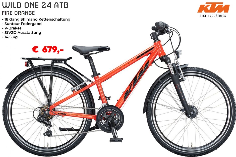 KTM Wild One 24