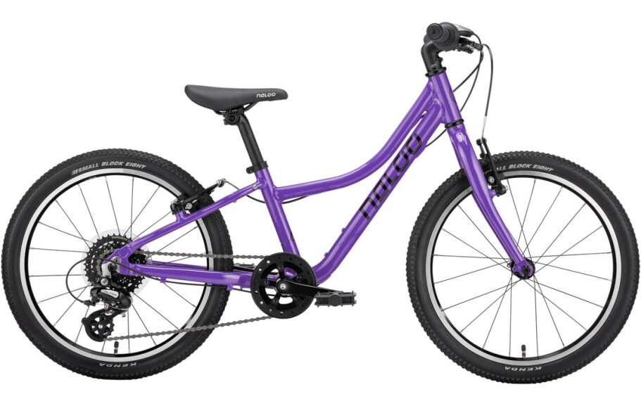 Naloo Chameleon 20