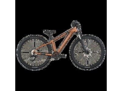 Scott Roxter 600 26