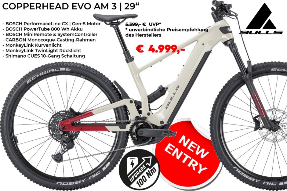 BULLS Copperhead EVO AM 3 | 29