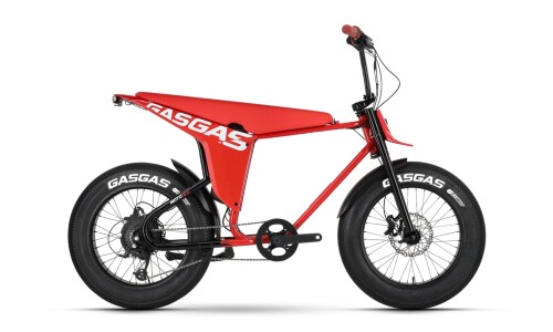 GASGAS Moto 2