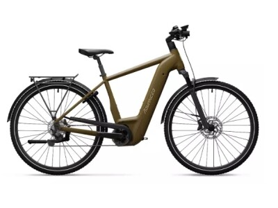 ADVANCED EBIKE Trekking Pro
