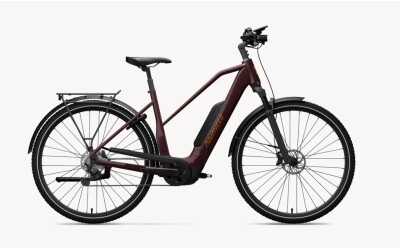 ADVANCED EBIKE Trekking Plus