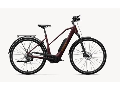 ADVANCED EBIKE Trekking Plus