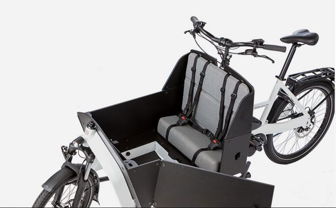 Riese und Müller Transporter 65 vario
