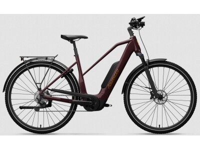 ADVANCED EBIKE TREKKING Plus Mixed