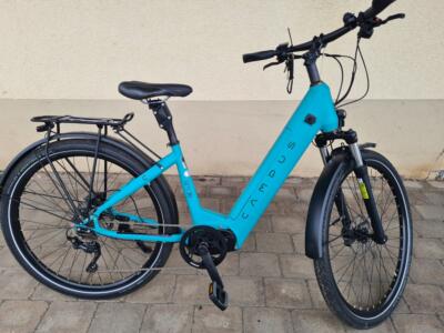 Campus BM38 Rh. S (44 cm)