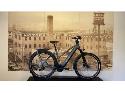 Cube Kathmandu Hybrid Pro TR54cm (750Wh)