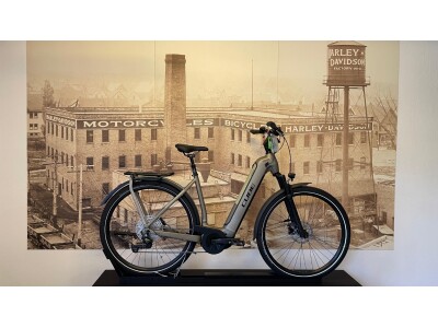 Cube Kathmandu Hybrid Pro EE 54 (625Wh)