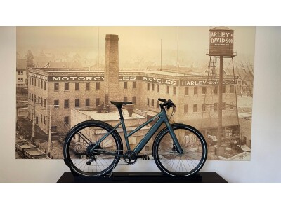 Coboc Vesterbro TPZ 47,5cm / 50cm
