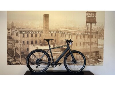 Coboc Vesterbro DMT Grey 50cm / 53cm