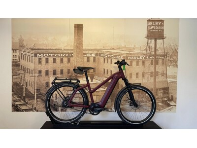 Riese und Müller Charger4 Mixte GT vario 49cm