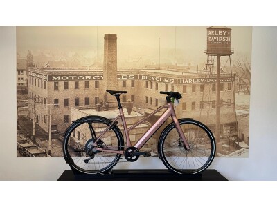 Riese und Müller UBN Seven touring 57