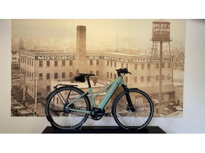 Riese und Müller Roadster Mixte vario 45cm