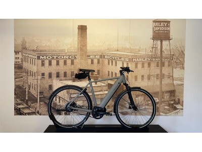 Riese und Müller Roadster vario 56cm
