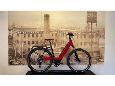 Riese und Müller Nevo touring 51cm