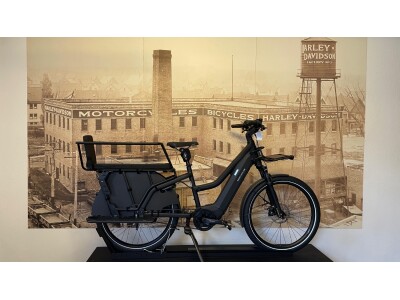 Riese und Müller Multicharger2 Gt vario 47cm