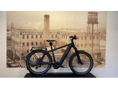 Riese und Müller Charger4 GT touring 53cm