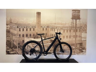 Coboc Iseo Black 53cm