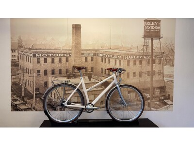 Schindelhauer Bikes Frieda XI Tr54 sahneweiß