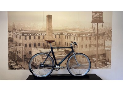 Schindelhauer Bikes Ludwig XI