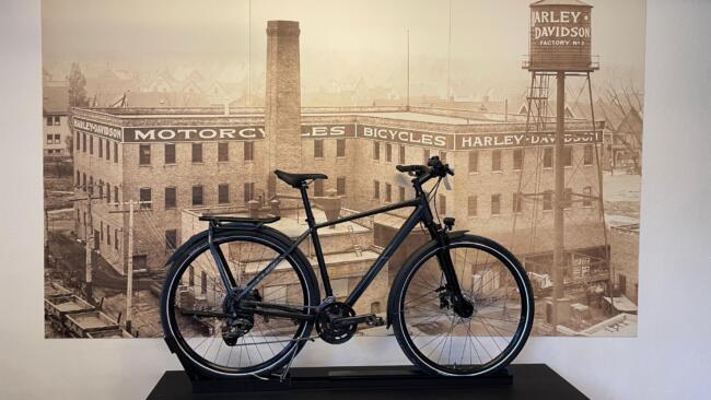 Cube Kathmandu Pro HE50cm