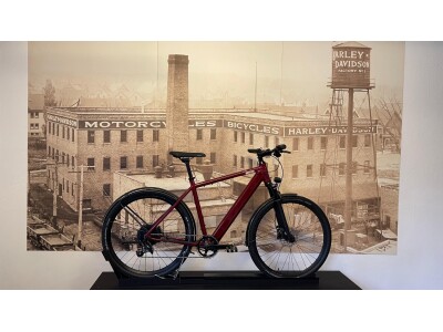 Coboc Iseo Red  50cm / 53cm