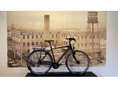 Gudereit Fantasy Classic HE53cm