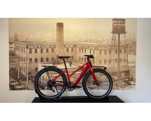 Coboc Bristol TPZ Red 43cm / 48,5cm