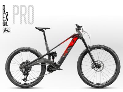 Rotwild R.EX 900 Pro