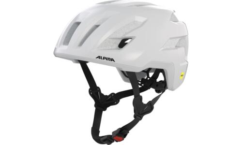 Alpina Taunus Gravel Mips Gr. 55-59