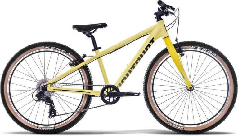 Eightshot - X-COADY 24