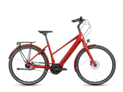 Grecos Eli 2.3