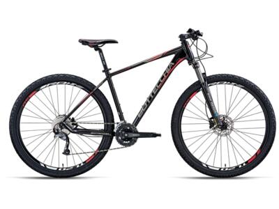 Bottecchia 125 Diamant