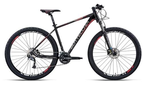 Bottecchia 125 Diamant