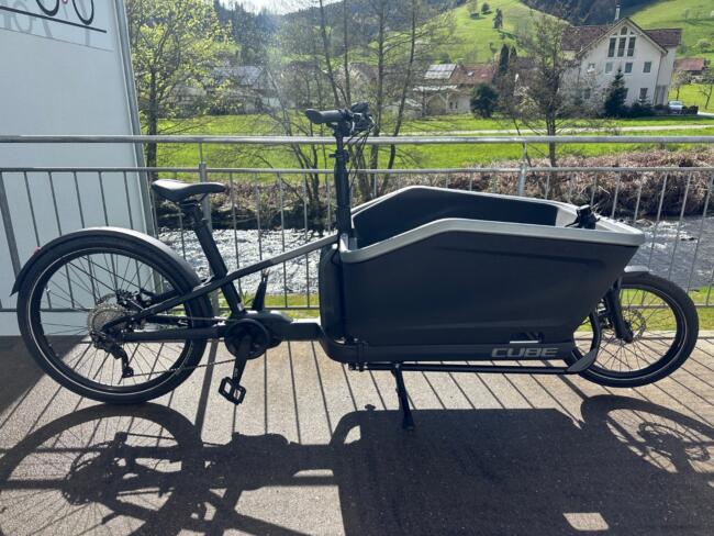 Cube CARGO SPORT DUAL HYBRID 1000