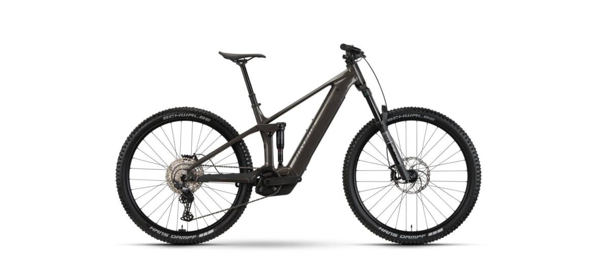 Raymon Korak Pro 29"