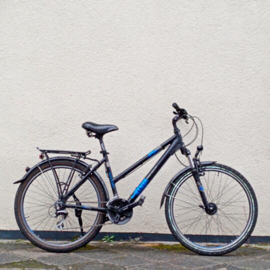 Raleigh Raleigh Fun Max Trekkingrad