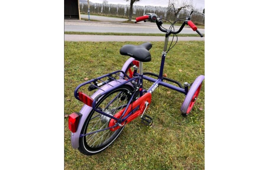 Hoening Spezialfahrzeuge T-Bike Therapie - Dreirad Kinder/Jugend