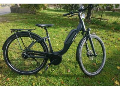 FALTER E-Bike RH. S/M