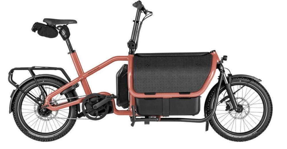 Riese und Müller Carrier 2