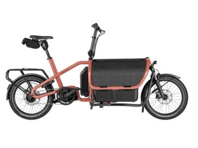 Riese und Müller Carrier 2