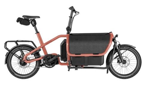 Riese und Müller Carrier 2