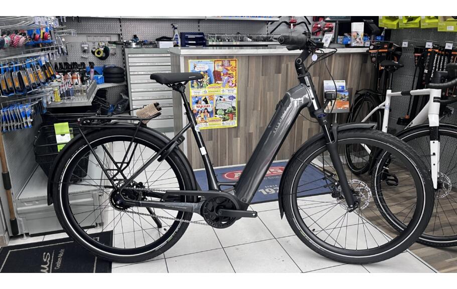 Kalkhoff Image 3 Advance