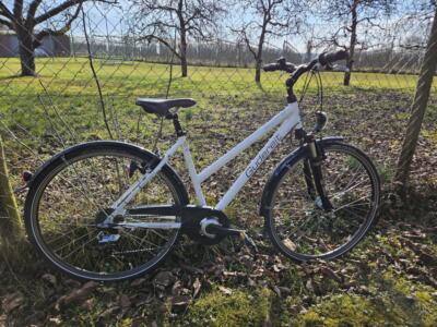 Gudereit LC 35 Trapez RH. M