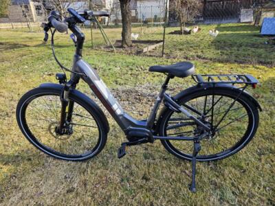 FALTER E-Bike Wave RH. M
