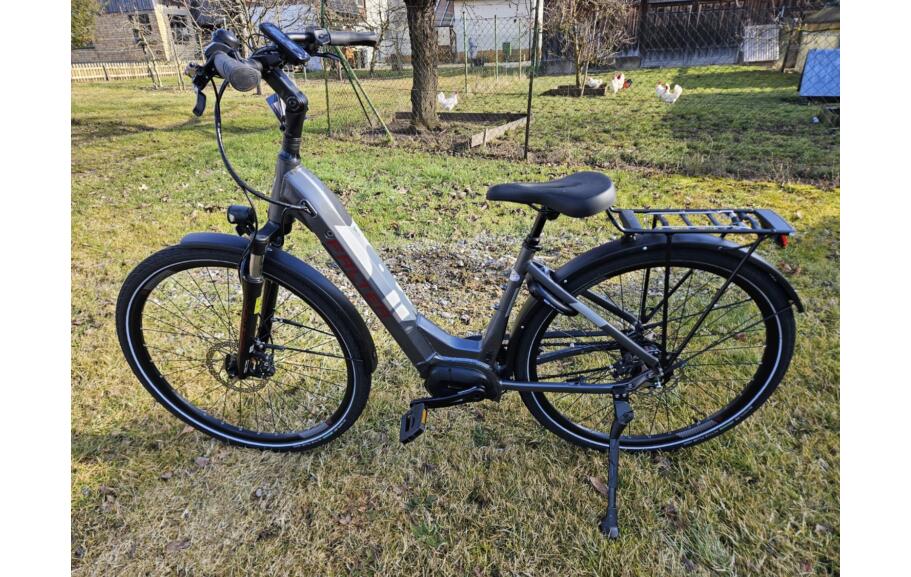 FALTER E-Bike Wave RH. M
