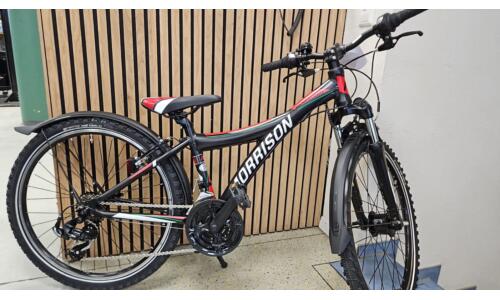 MORRISON Mescalero 24 Zoll